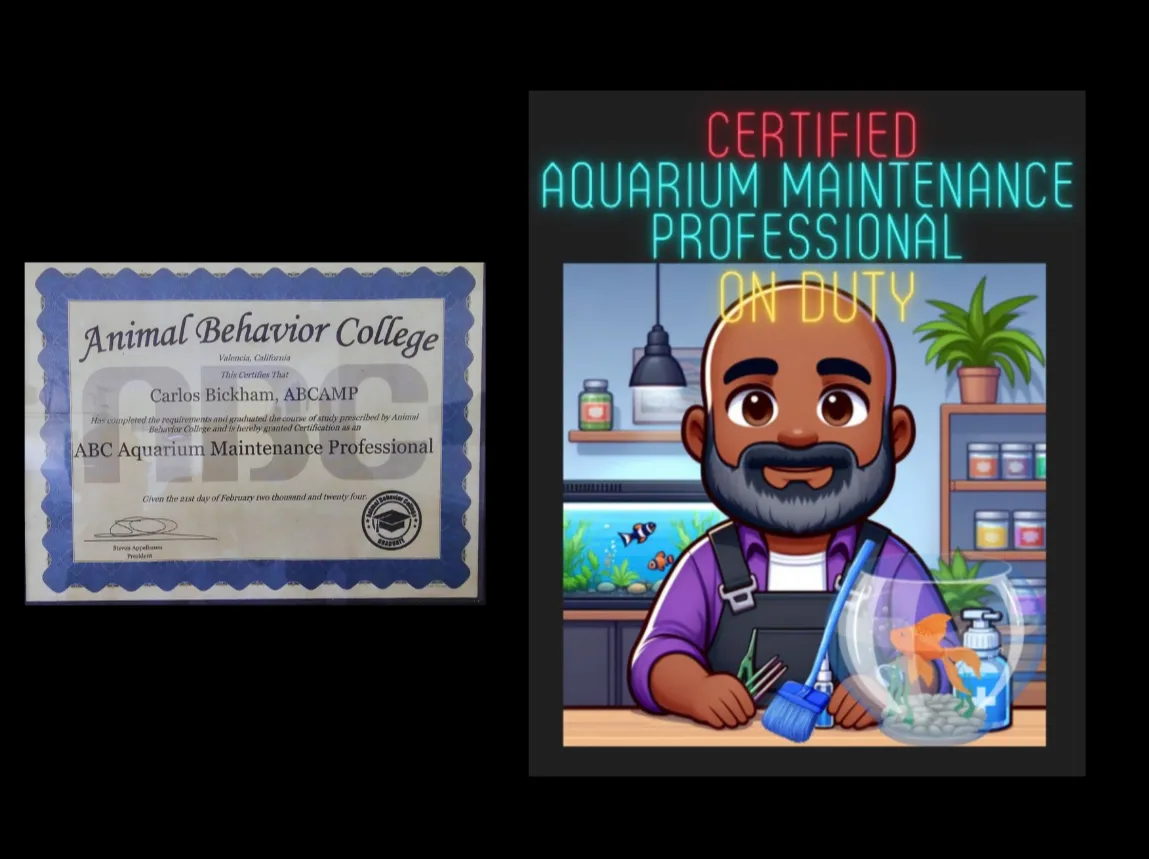 Carlos Bickham, founder of Double Vision Aquatics