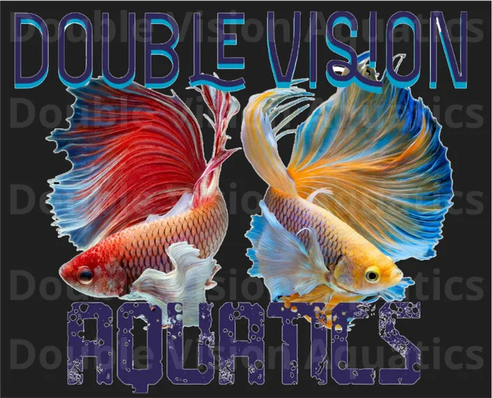 Beta design — a red and a gold betta fish with flowing fins on a black background with the DVA wordmark