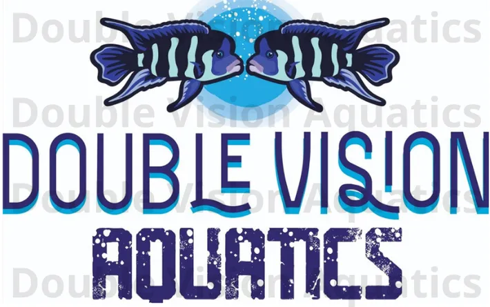 Original Double Vision Aquatics logo design — two frontosa cichlids face to face over the DVA wordmark