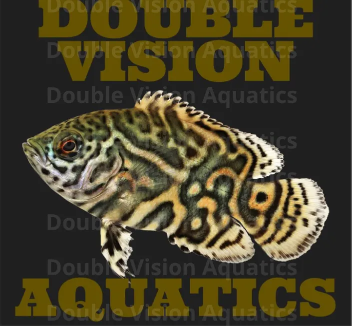 Oscar design — a tiger oscar cichlid on a black background between DOUBLE VISION and AQUATICS lettering