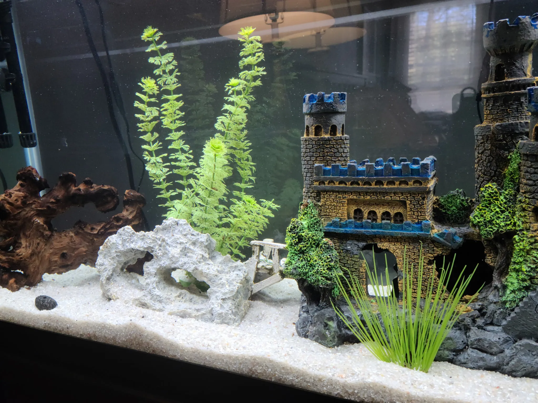 Close-up of a restored aquarium by Double Vision Aquatics — cleaned castle and rock decor on fresh white sand