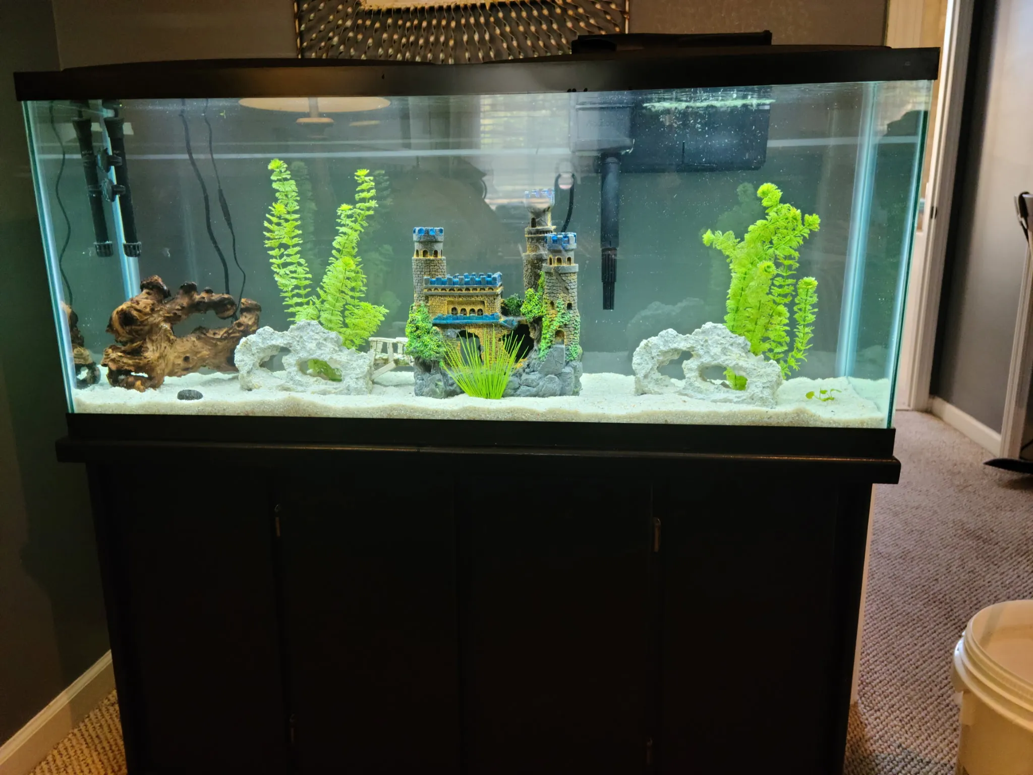 After restoration — the same aquarium with clear water, bright white sand, a new hood, and the decor cleaned and recomposed